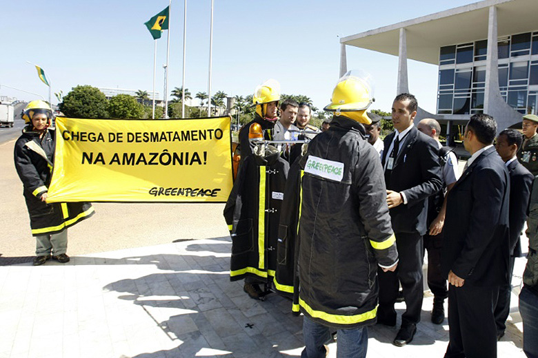 SELVA AMAZONICA BRASIL: ¿Por qué es muy importante para el planeta? 3