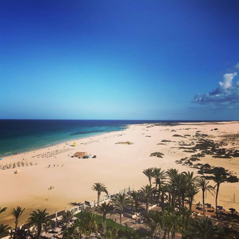clubhotel riu oliva beach resort: en plena playa de las dunas de Corralejo - Fuerteventura - Un oasis 3