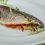 Comer pescado en Tenerife Norte: frescura, tradición y sostenibilidad