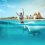 Descubre las Actividades en Cozumel Más Recomendadas por los Visitantes