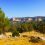 Casa rural con piscina cerca de Madrid: Duna de Mesones