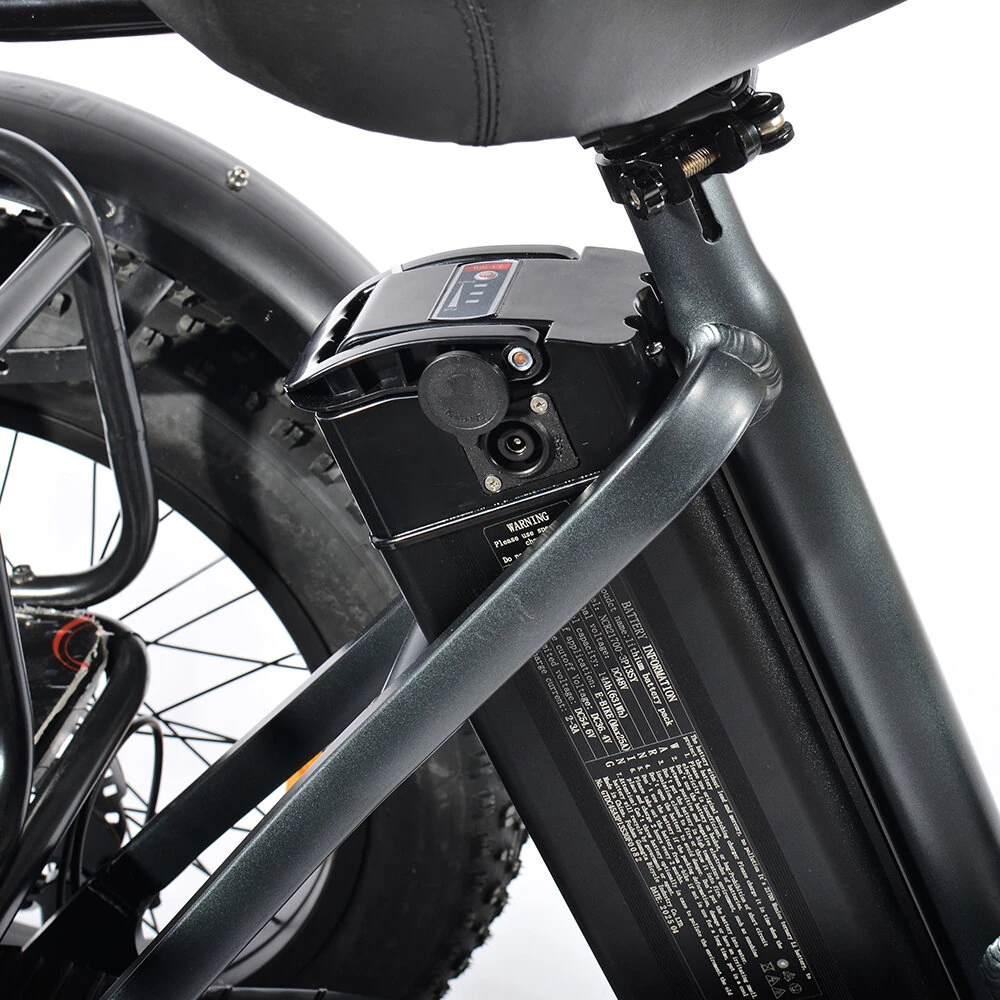 Triciclo Eléctrico PULUMA SL 001- Estabilidad, Potencia y Libertad de Movilidad 2