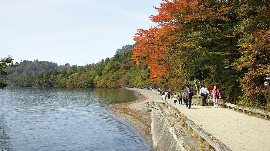 Guía de Expedición a Tohoku: El Japón que Aún No Conoces 2