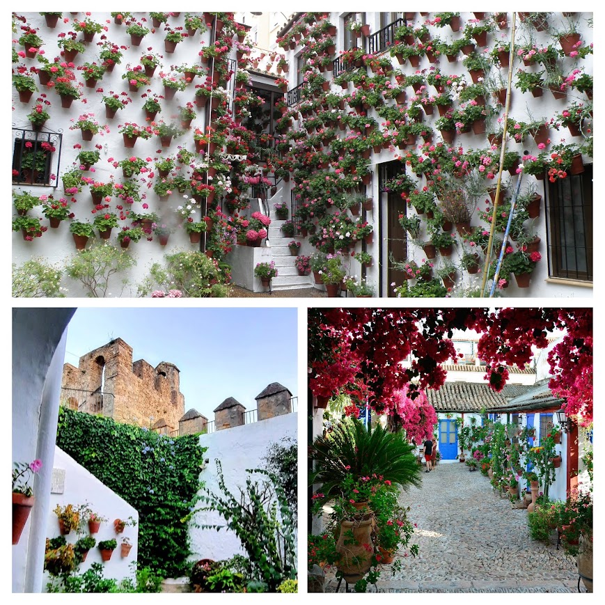 Festival de los Patios de Córdoba: ¿frío imbatible? 2