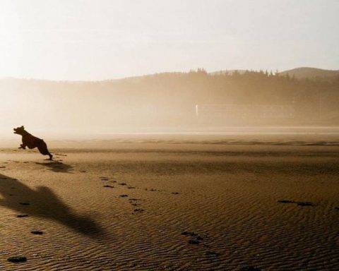 Reivindicando más playas para perros en Galicia 24
