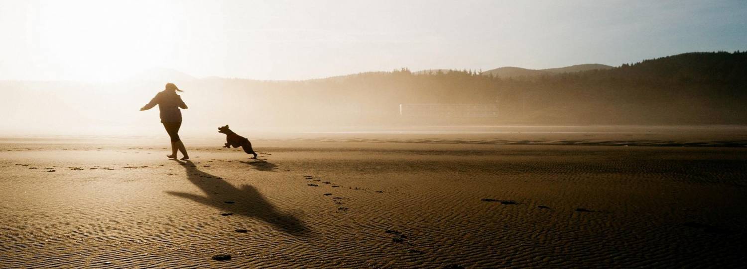 Reivindicando más playas para perros en Galicia 9