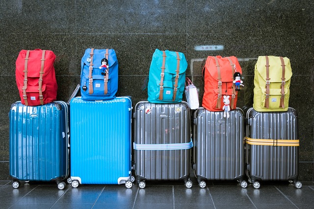 ¿Cómo elegir las mejores maletas para las vacaciones? 1